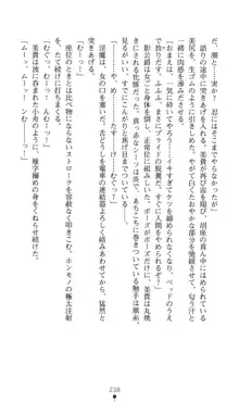 魔斬姫伝 退魔師たちの淫獄, 日本語