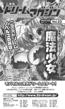 魔斬姫伝 退魔師たちの淫獄, 日本語