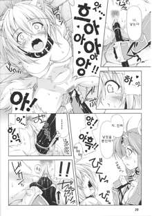 Ikazuchi no Senshi Raidy ~Haja no Raikou~ THE COMIC | 번개의 전사 라이디 ~파사의 뇌광~ THE COMIC Ch. 2, 한국어