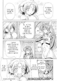 Ikazuchi no Senshi Raidy ~Haja no Raikou~ THE COMIC | 번개의 전사 라이디 ~파사의 뇌광~ THE COMIC Ch. 2, 한국어