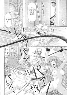 Ikazuchi no Senshi Raidy ~Haja no Raikou~ THE COMIC | 번개의 전사 라이디 ~파사의 뇌광~ THE COMIC Ch. 2, 한국어