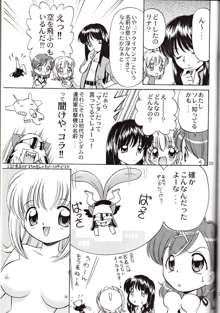 どれみちゃんにハラスメント, 日本語