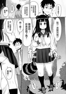 Kemomimi! 5 ~Tanuki Musume Toujou Hen~, 中文