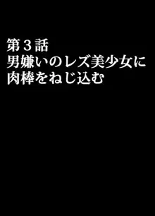 アイドル強制操作 学園編, 日本語