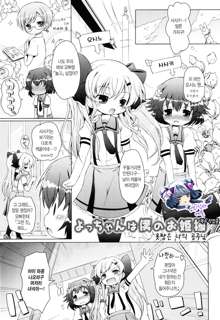 Oniichan to Nyan Nyan Nyan Ch. 2, 한국어