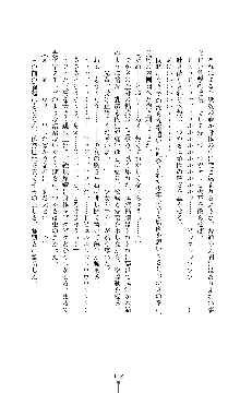 討魔刃姫 美劔つかさ, 日本語