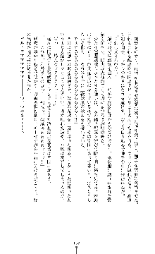 討魔刃姫 美劔つかさ, 日本語