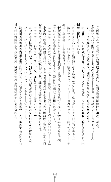 討魔刃姫 美劔つかさ, 日本語