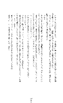 討魔刃姫 美劔つかさ, 日本語