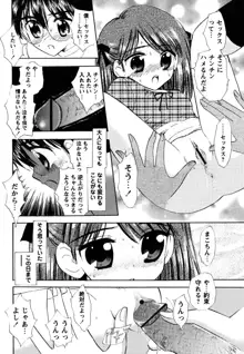 ふくらみかけの処女たち, 日本語