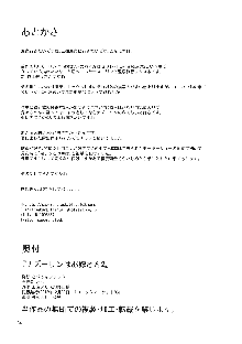 ナズーリンはお嫁さん2, 日本語