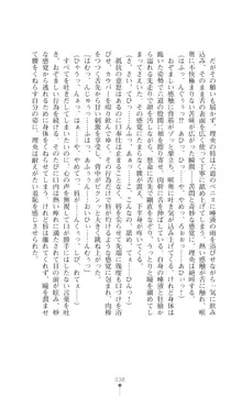 陰陽生徒会 淫呪の鎖, 日本語