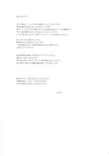 学ラン少女男子校潜入, 日本語