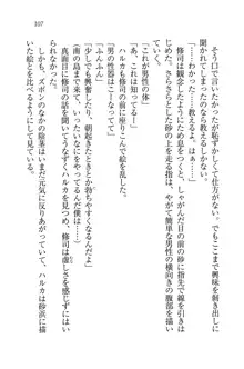 お嬢様と無人島！？ 葉っぱ水着パラダイス, 日本語