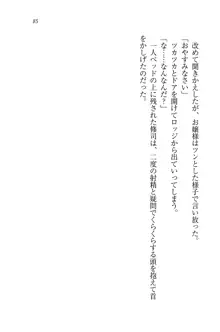 お嬢様と無人島！？ 葉っぱ水着パラダイス, 日本語