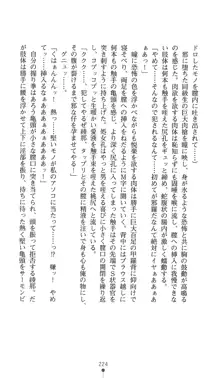 退魔剣士 綾那 ダークサクリファイス, 日本語