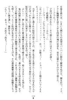 淫舞の巫女姉妹 弐 孕みし者のさだめ, 日本語