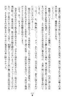 淫舞の巫女姉妹 弐 孕みし者のさだめ, 日本語