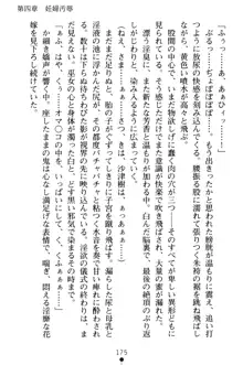 淫舞の巫女姉妹 弐 孕みし者のさだめ, 日本語