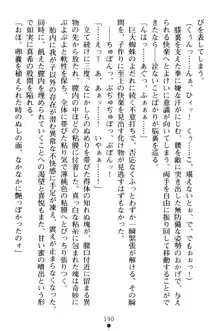 淫舞の巫女姉妹 弐 孕みし者のさだめ, 日本語