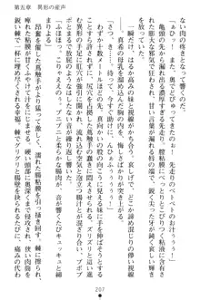 淫舞の巫女姉妹 弐 孕みし者のさだめ, 日本語