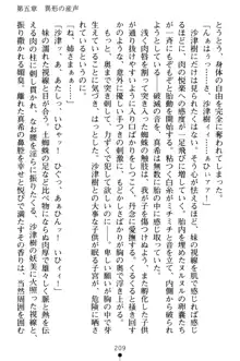 淫舞の巫女姉妹 弐 孕みし者のさだめ, 日本語