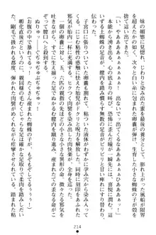 淫舞の巫女姉妹 弐 孕みし者のさだめ, 日本語