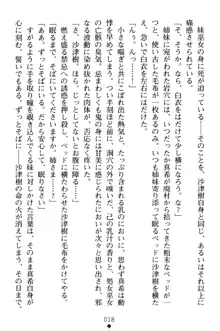 淫舞の巫女姉妹 弐 孕みし者のさだめ, 日本語