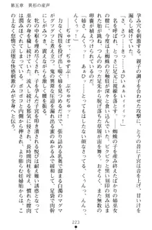 淫舞の巫女姉妹 弐 孕みし者のさだめ, 日本語