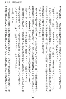 淫舞の巫女姉妹 弐 孕みし者のさだめ, 日本語