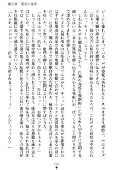 淫舞の巫女姉妹 弐 孕みし者のさだめ, 日本語