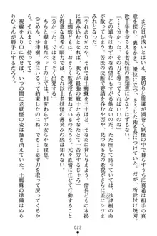 淫舞の巫女姉妹 弐 孕みし者のさだめ, 日本語