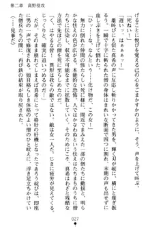 淫舞の巫女姉妹 弐 孕みし者のさだめ, 日本語