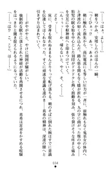 淫舞の巫女姉妹 弐 孕みし者のさだめ, 日本語