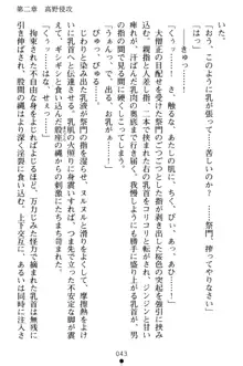 淫舞の巫女姉妹 弐 孕みし者のさだめ, 日本語