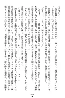 淫舞の巫女姉妹 弐 孕みし者のさだめ, 日本語