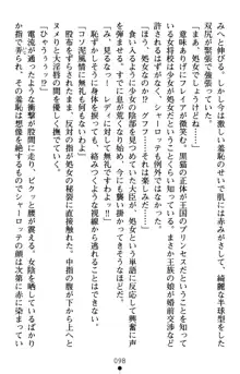 怪盗王女シャーロッテ 淫縛の円舞曲, 日本語