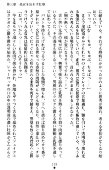 怪盗王女シャーロッテ 淫縛の円舞曲, 日本語