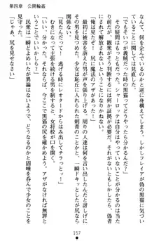 怪盗王女シャーロッテ 淫縛の円舞曲, 日本語