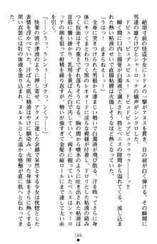 怪盗王女シャーロッテ 淫縛の円舞曲, 日本語