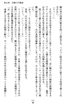 怪盗王女シャーロッテ 淫縛の円舞曲, 日本語