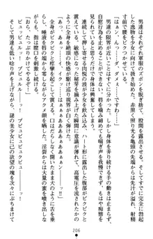 怪盗王女シャーロッテ 淫縛の円舞曲, 日本語