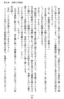 怪盗王女シャーロッテ 淫縛の円舞曲, 日本語