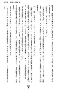 怪盗王女シャーロッテ 淫縛の円舞曲, 日本語