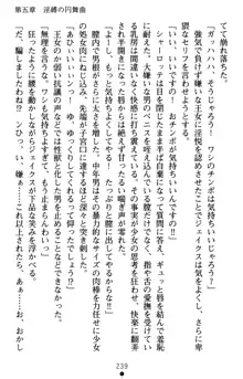 怪盗王女シャーロッテ 淫縛の円舞曲, 日本語