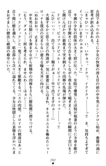 怪盗王女シャーロッテ 淫縛の円舞曲, 日本語