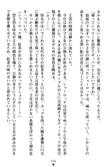 怪盗王女シャーロッテ 淫縛の円舞曲, 日本語