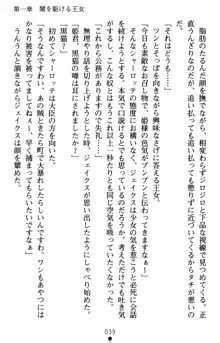 怪盗王女シャーロッテ 淫縛の円舞曲, 日本語