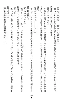 怪盗王女シャーロッテ 淫縛の円舞曲, 日本語