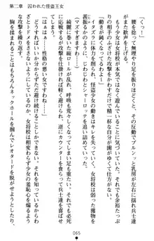 怪盗王女シャーロッテ 淫縛の円舞曲, 日本語